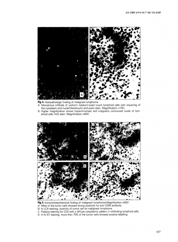 d57a166d4507e86fdb3c74088079ec49_1611279058_2972.jpg